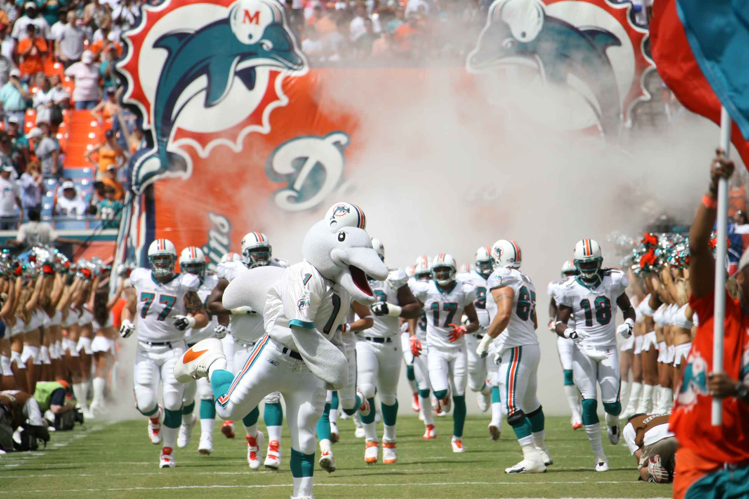Most Fans have changed their opinion on the Dolphins direction, today Miami can get end the disrespect.