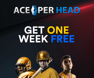AcePerHead $4 Per Head