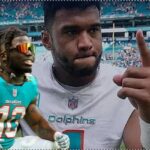 phins article