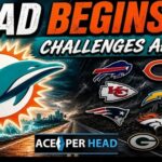 Phins Building their Defense for the NFL's New Reality phins